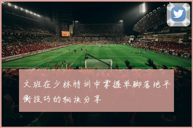 文班在少林特训中掌握单脚落地平衡技巧的秘诀分享