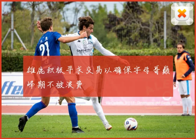 雄鹿积极寻求交易以确保字母哥巅峰期不被浪费