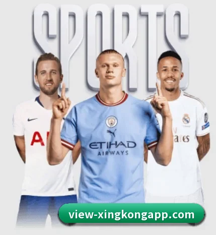 星空体育的方向 | StarskySports
